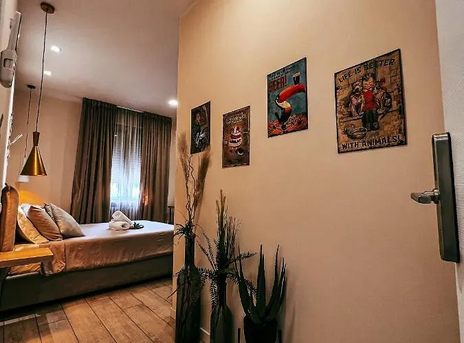 Salus Civico 23 Reggio Emilia